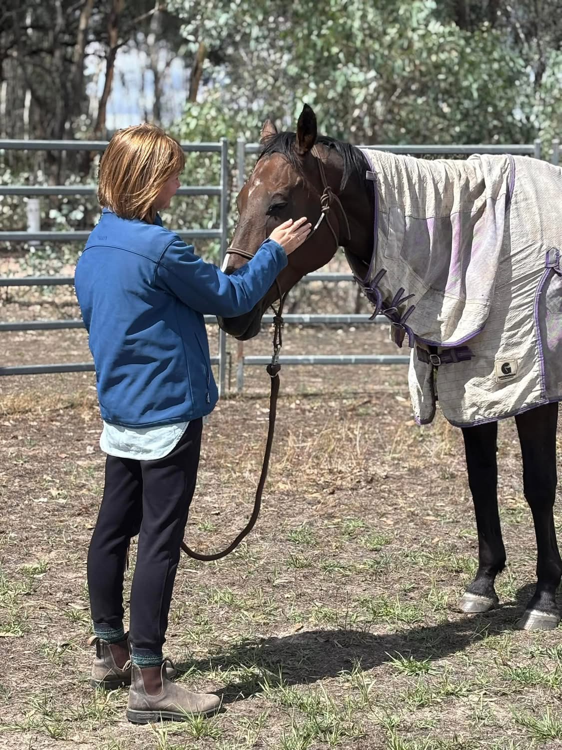 What does reiki with a horse look like?